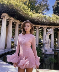 Close-up of pink flared dress featuring buttons and delicate ruffled chiffon sleeves
