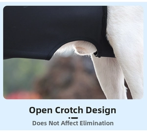 Detail view of the open-crotch design on a dog recovery suit for easy excretion