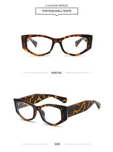 Detail view of tortoiseshell cat-eye glasses frame with flat lenses and side profile