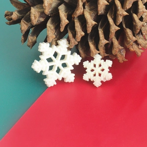 Sparkly white resin snowflakes with pine cones on festive red and cyan background