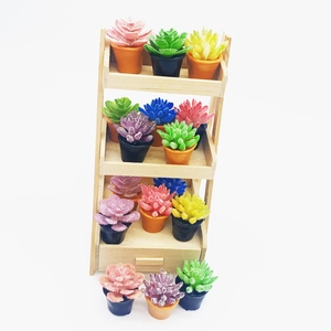 Miniature dollhouse succulent plants with tiered wooden display stand for micro landscapes