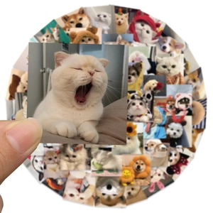 52-piece set of waterproof cute pet stickers featuring realistic cartoon cats and dogs