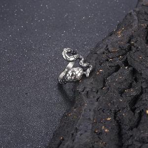 Macro detail of silver snake ring with textured scales on dark volcanic rock