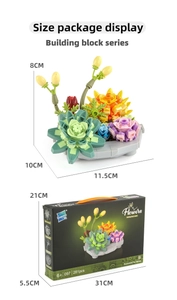 Detailed size display of a succulent building block set with colorful retail packaging