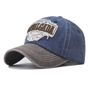 Close-up of distressed bull head embroidery and vintage washed cotton fabric detail