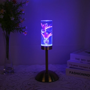 Preserved flower acrylic LED night light with blue glow and golden metal base
