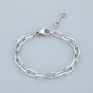 Detail of silver stainless steel paperclip chain necklace with lobster clasp and extension