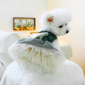 Close-up of elegant dark green dog princess dress with multi-layer beige tulle skirt