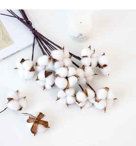 Detailed close-up of natural white cotton branches for rustic home floral decoration