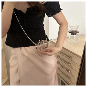 Mini transparent acrylic box bag with gold chain strap shown on a fashion model