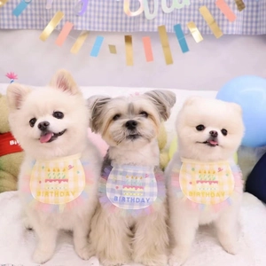Birthday pet bibs with lace edges and cake embroidery for small dogs and cats