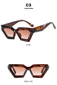Detailed side and front view of irregular cat eye sunglasses with tortoise frame C3