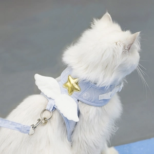 Harnais Et Laisse Pour Animaux Ailes D'Ange En Coton Maille Style Gilet Pour Chats Petits Chiens Anti-Évasion