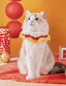 Détail du collier tricoté rouge et jaune pour animal avec pendentif chat porte-bonheur