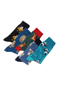 Flat lay of four pairs of cotton socks featuring sloth, fox, koala, and panda animal patterns