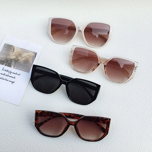 Oversized cat-eye sunglasses in cream, tortoiseshell, and black colors for men and women