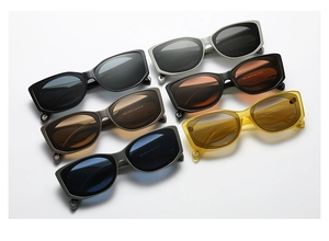 Detailed view of the sunglasses temple showing the model number and CE certification marks