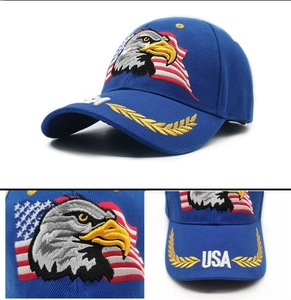 Detail of blue baseball cap showing bald eagle embroidery and USA flag on crown