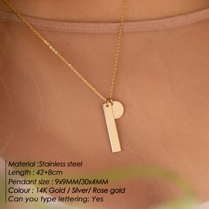 Collier minimaliste en acier inoxydable avec pendentifs barre et disque à graver en or