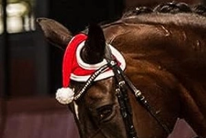 Close-up of a festive red horse ear bonnet with white plush trim and pompom detail