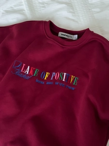 Burgundy crewneck sweatshirt with colorful embroidery laid flat on striped texture