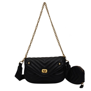 Black V-quilted chain shoulder bag with a round coin purse and gold hardware on white back