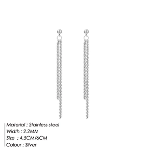 Detail of silver stainless steel long tassel earrings with delicate chain fringe design