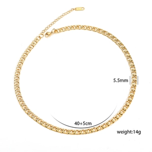5.5mm gold stainless steel mesh chain necklace for women in chunky street style
