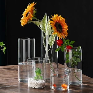 Cylinder Glass Vase High Borosilicate Glass Hydroponic Plant Pot Desktop Minimalist Flower Arrangement Decorative Container