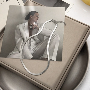 Minimalist silver steel snake bone flat chain necklace on a premium display box