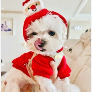 Weihnachts-Hunde-Hoodie in Rot mit 3D-Weihnachtsmann-Mütze für kleine und mittlere Hunde