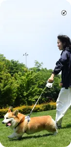 Strong nylon rope on an automatic retractable dog leash during a walk in the park
