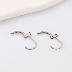 Pair of silver stainless steel earring hooks for DIY jewelry making on white background
