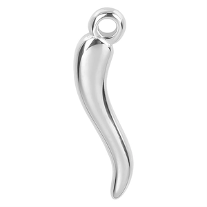 Detailed view of a polished silver chili pepper pendant with high gloss metal finish