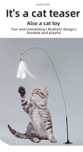 Interactive cat toy featuring long steel wire wand with feathers and suction cup base