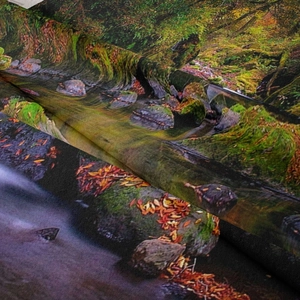 Close-up of bohemian forest landscape tapestry fabric showing woven texture and fall colors