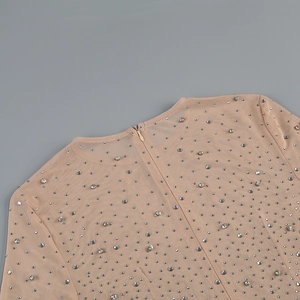 Detailed view of nude mesh dress featuring hand-placed rhinestones and hidden back zipper