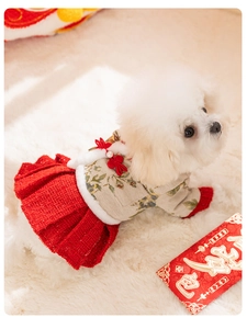 Détail d'une robe en tweed rouge pour animaux avec nœuds chinois et perles décoratives