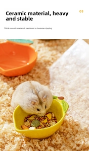 Close-up of a hamster eating from a heavy yellow fruit-shaped ceramic food bowl