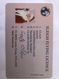 Detail of Santa Claus Sleigh Flying License card featuring portrait and vintage ID text