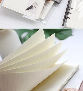 Close-up detail of creamy white dotted inner pages for 6-hole transparent loose-leaf binder
