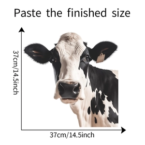 Detail showing cartoon cow window sticker with ears tags and 37cm size marking