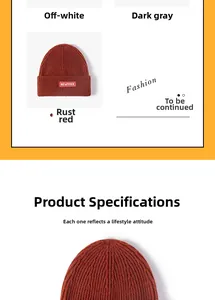 Detail view of New York letter embroidery on ribbed knit beanie in rust red color