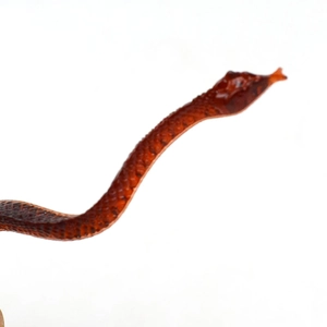 Close-up of a brown plastic fake snake toy with realistic scale textures for pranks