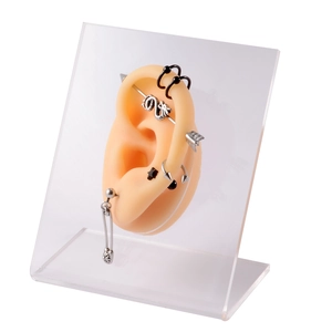 Silicone ear model display set with silver and black stainless steel piercing jewelry