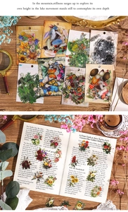 Macro detail of vintage nature stickers featuring botanical designs and scrapbooking decor