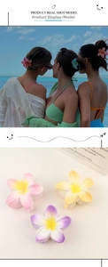 Detailed view of matte frangipani hair clips in various colors with beach wear scene