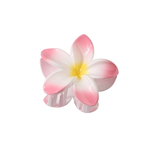 Gros plan détaillé d'une grande pince à cheveux fleur de frangipanier rose et blanche