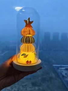 Close-up of a warm glowing sea urchin shell night light inside a glass dome held by hand