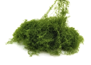 Vista macro di fibre di muschio artificiale verde brillante per decorazioni casa e fai-da-te